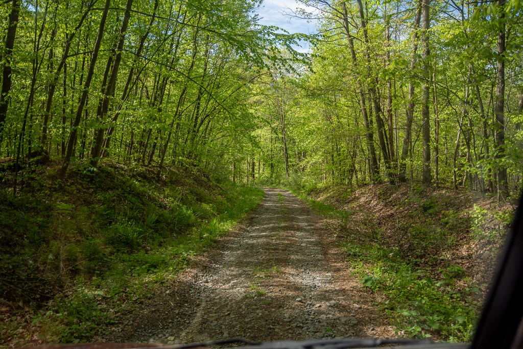 Stacey Rd, Parker, Pennsylvania image 29