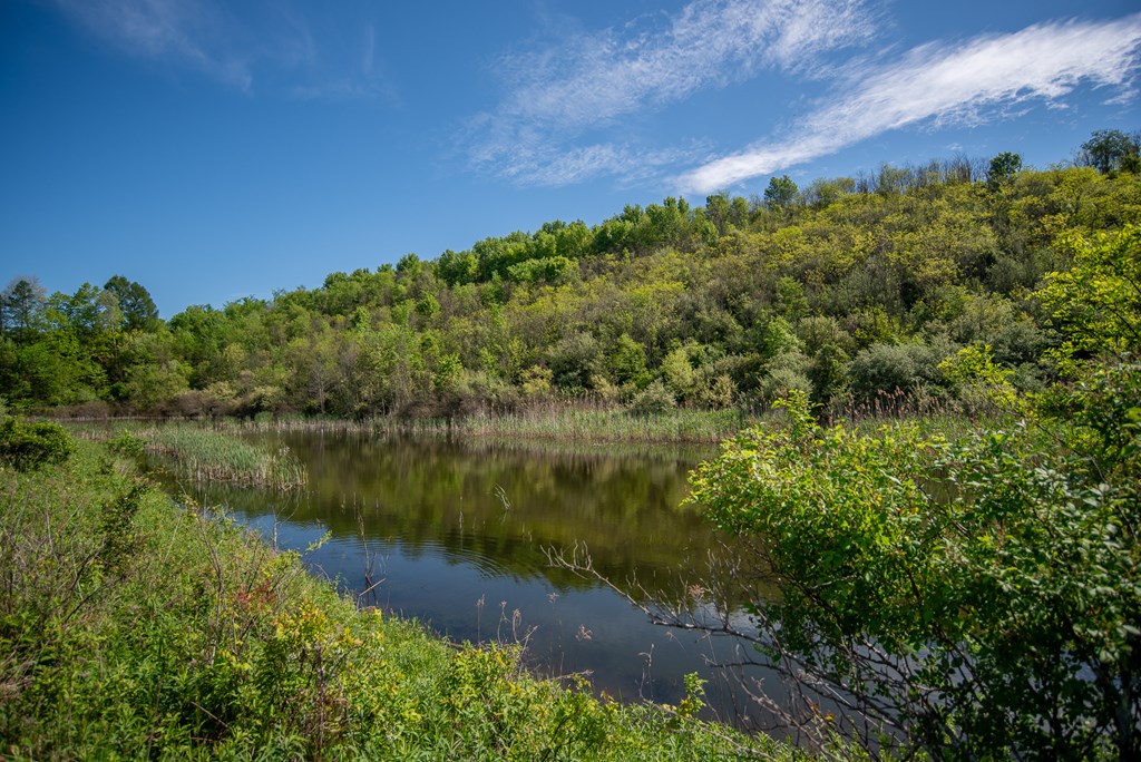 Stacey Rd, Parker, Pennsylvania image 41