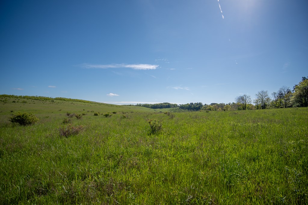 Stacey Rd, Parker, Pennsylvania image 26