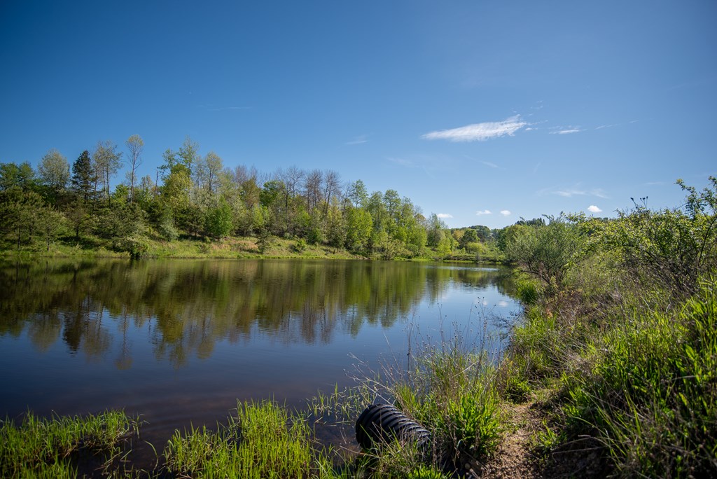 Stacey Rd, Parker, Pennsylvania image 21