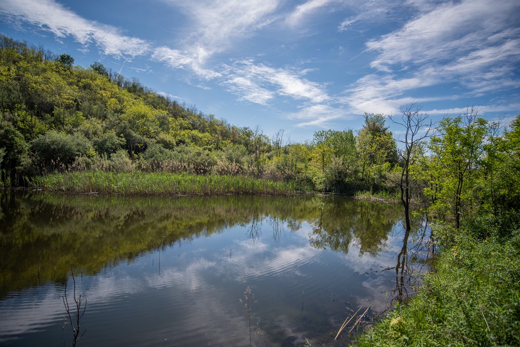 Stacey Rd, Parker, Pennsylvania image 40
