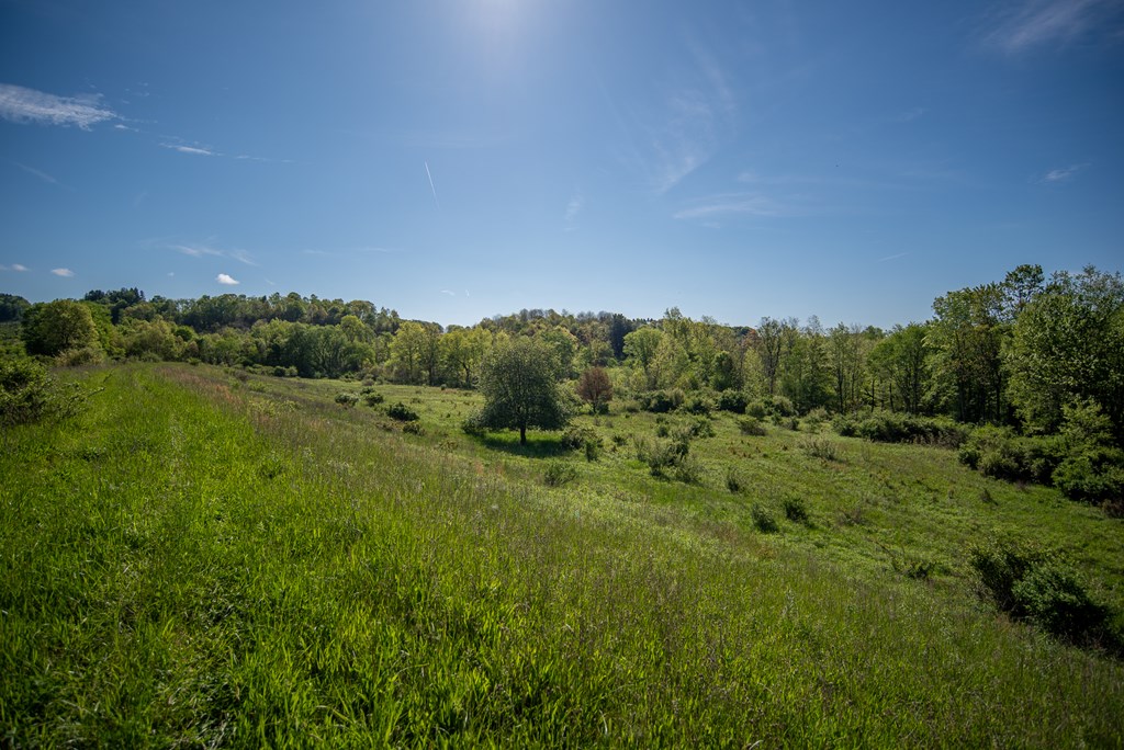 Stacey Rd, Parker, Pennsylvania image 23
