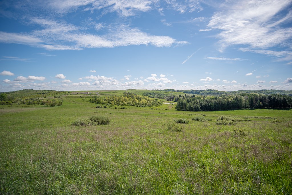 Stacey Rd, Parker, Pennsylvania image 49