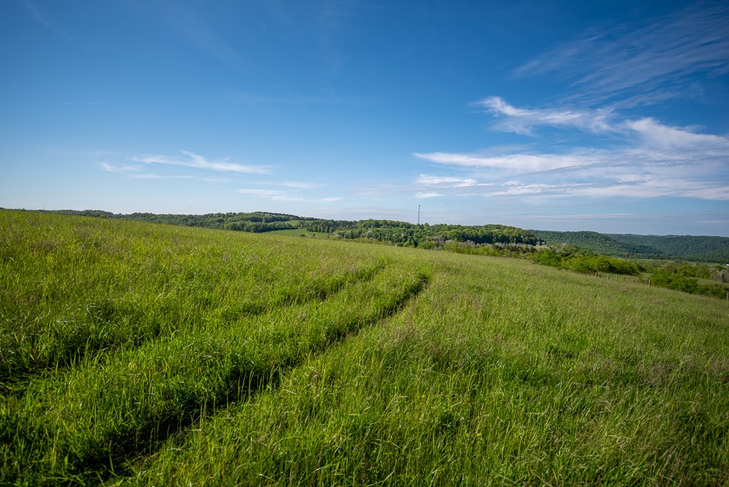 Stacey Rd, Parker, Pennsylvania image 15