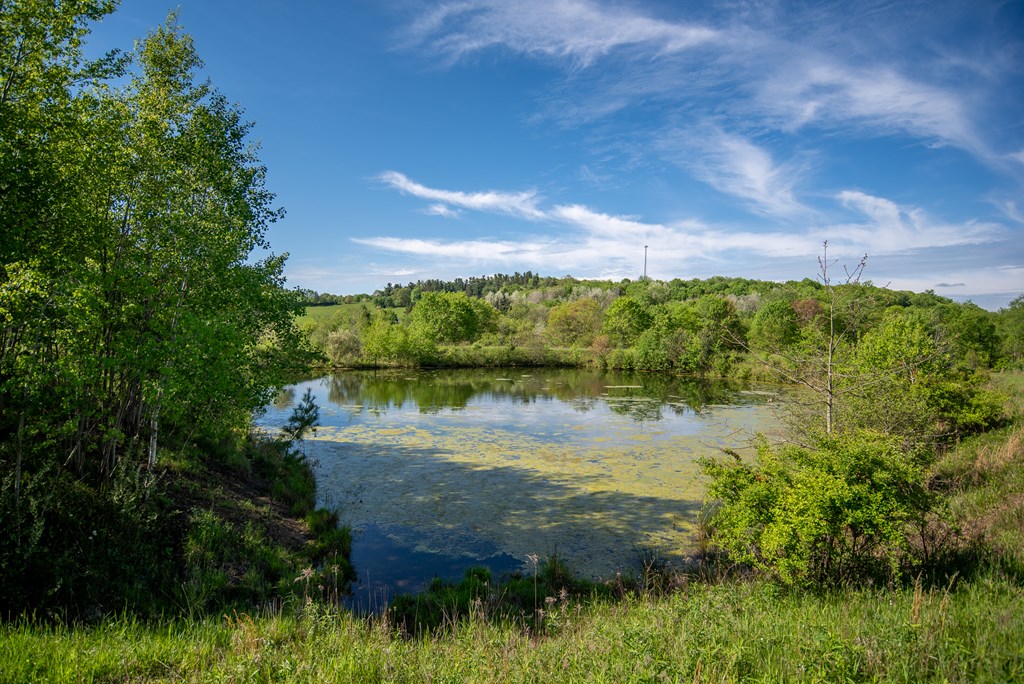 Stacey Rd, Parker, Pennsylvania image 19