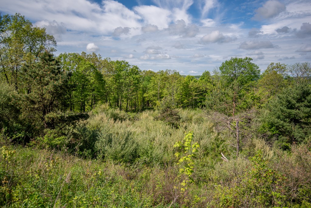 Stacey Rd, Parker, Pennsylvania image 43