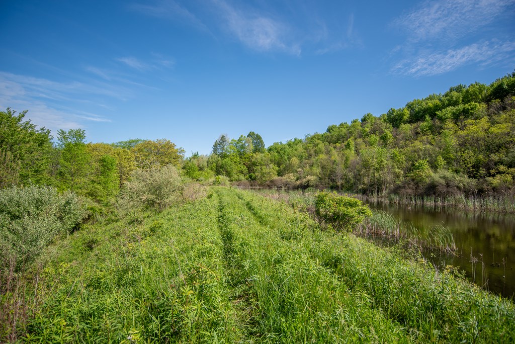 Stacey Rd, Parker, Pennsylvania image 44