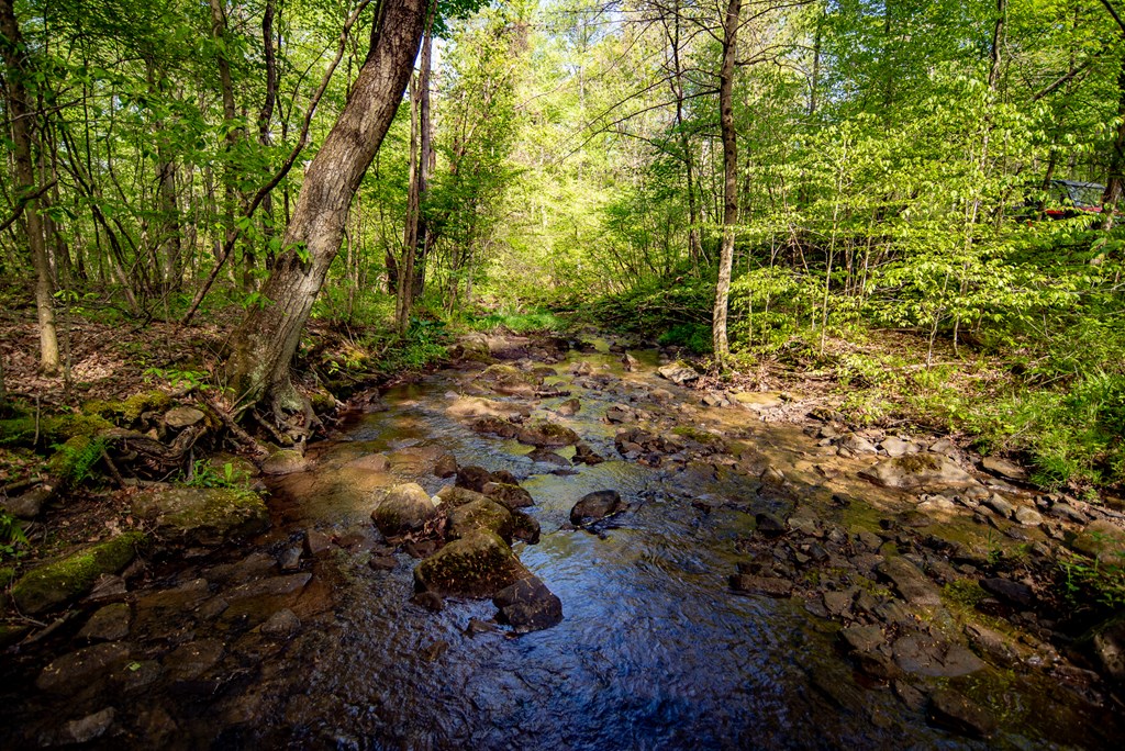 Stacey Rd, Parker, Pennsylvania image 31