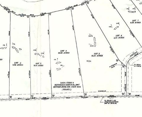 Photo for 3765 Pine Hollow Rd, Lot 3