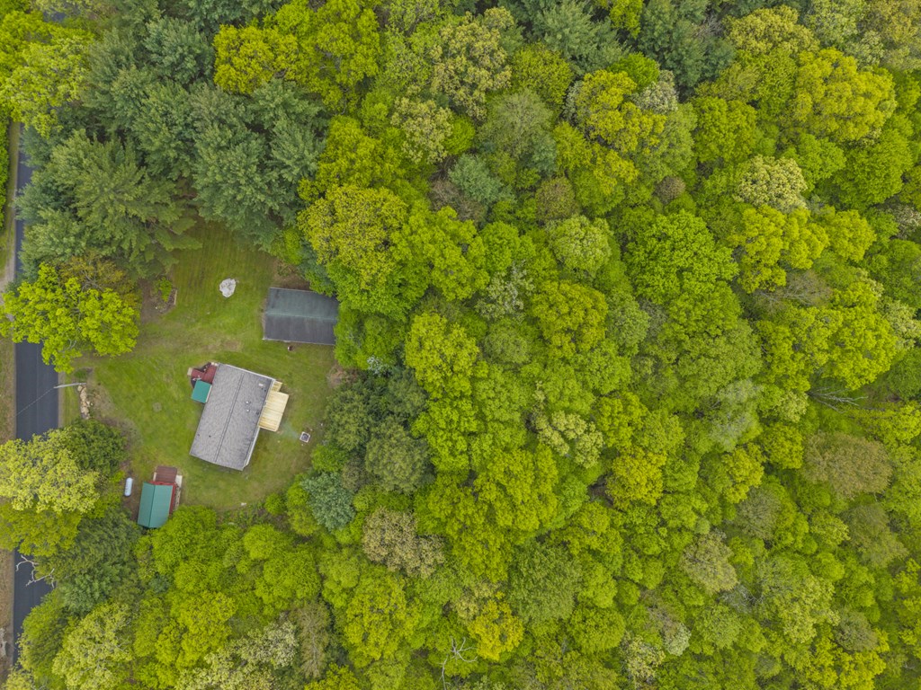 1225 German Hill Road, Tionesta, Pennsylvania image 34