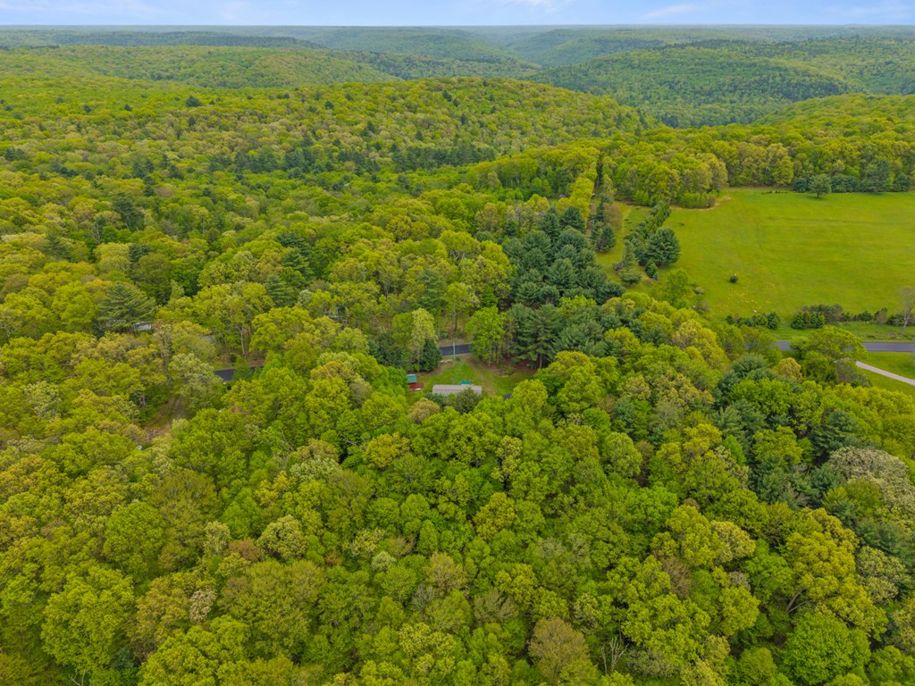 1225 German Hill Road, Tionesta, Pennsylvania image 39