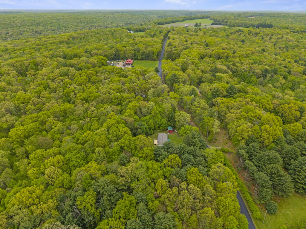 1225 German Hill Road, Tionesta, Pennsylvania image 40