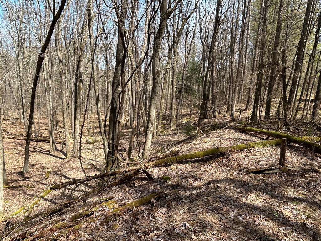 .. Breniman Road, Shippenville, Pennsylvania image 18