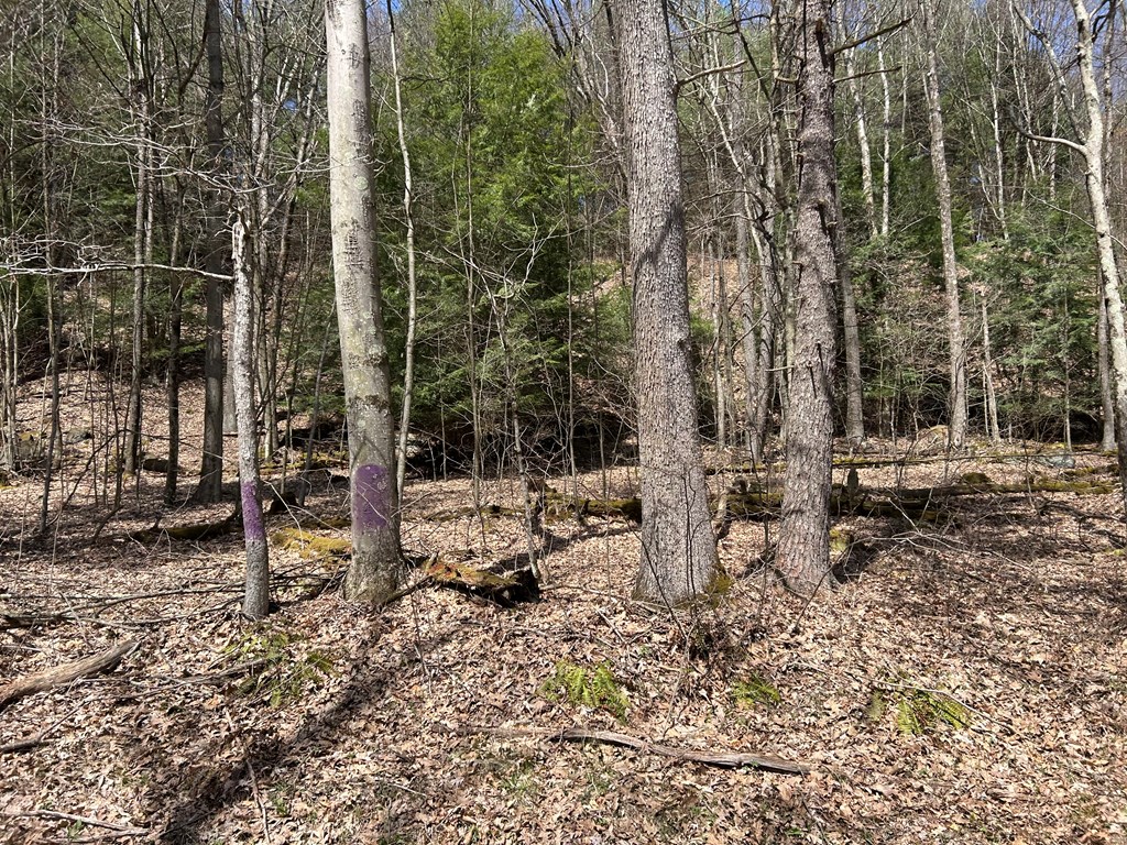 .. Breniman Road, Shippenville, Pennsylvania image 12