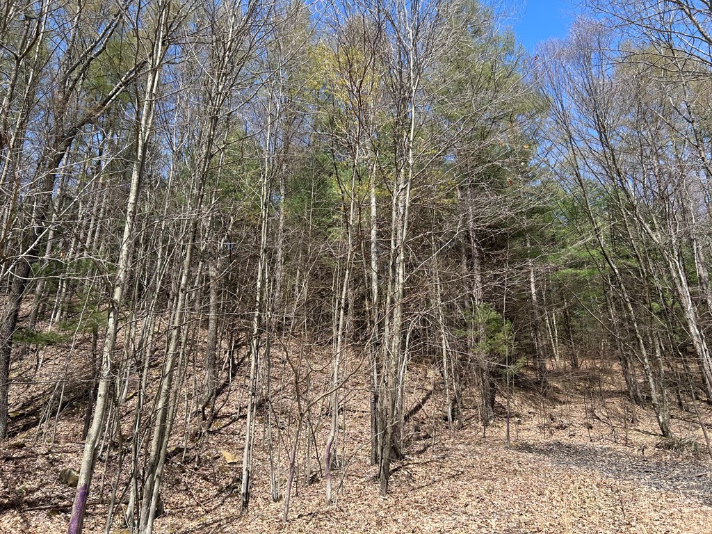 .. Breniman Road, Shippenville, Pennsylvania image 13