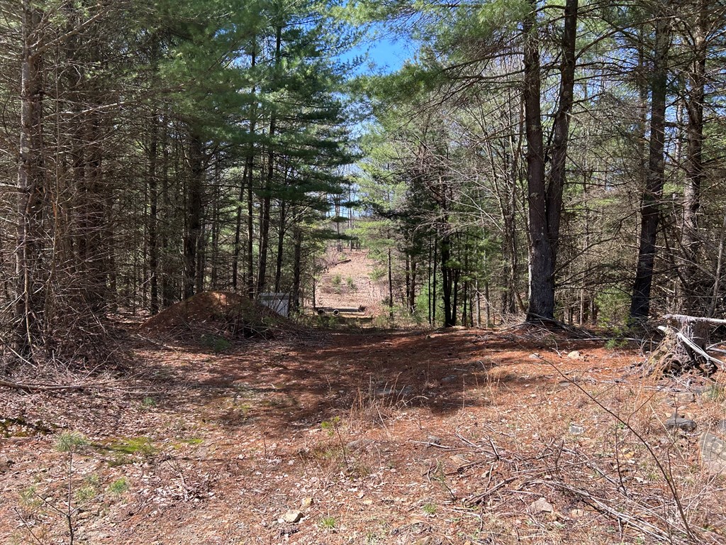 .. Breniman Road, Shippenville, Pennsylvania image 15
