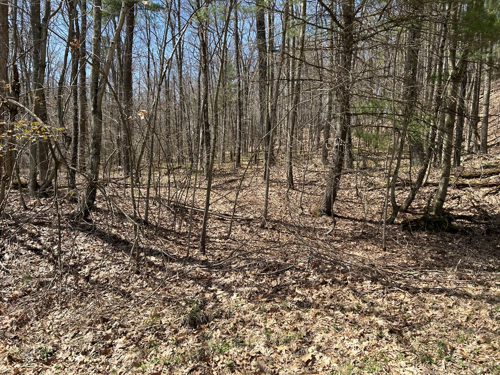 .. Breniman Road, Shippenville, Pennsylvania image 21