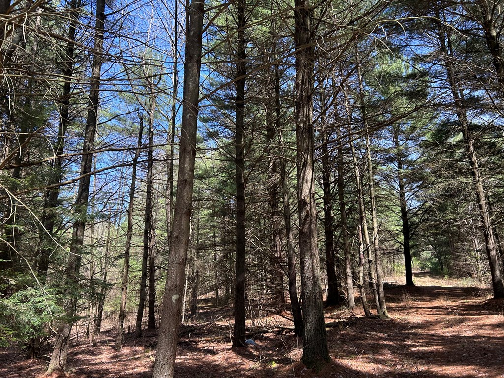 .. Breniman Road, Shippenville, Pennsylvania image 14