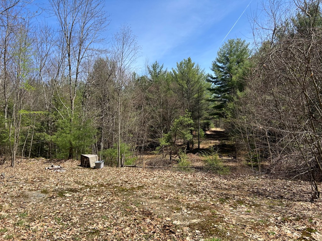 .. Breniman Road, Shippenville, Pennsylvania image 6