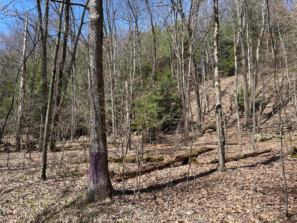 .. Breniman Road, Shippenville, Pennsylvania image 11