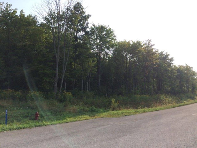 6838 Rt 338 Lot 1, Knox, Pennsylvania image 2