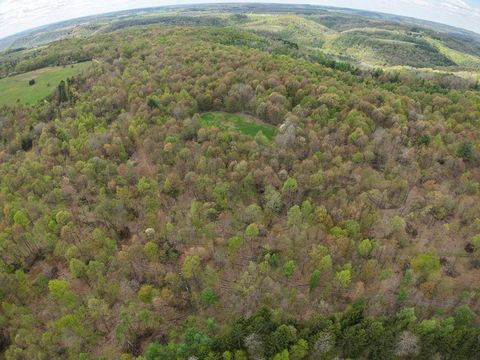 Vacant Land For Sale - Lower Mudlic Rd<br/> Armstrong County, Mayport, PA 16240