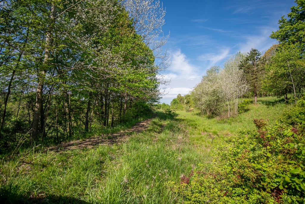 03 Stacey Rd, Parker, Pennsylvania image 4