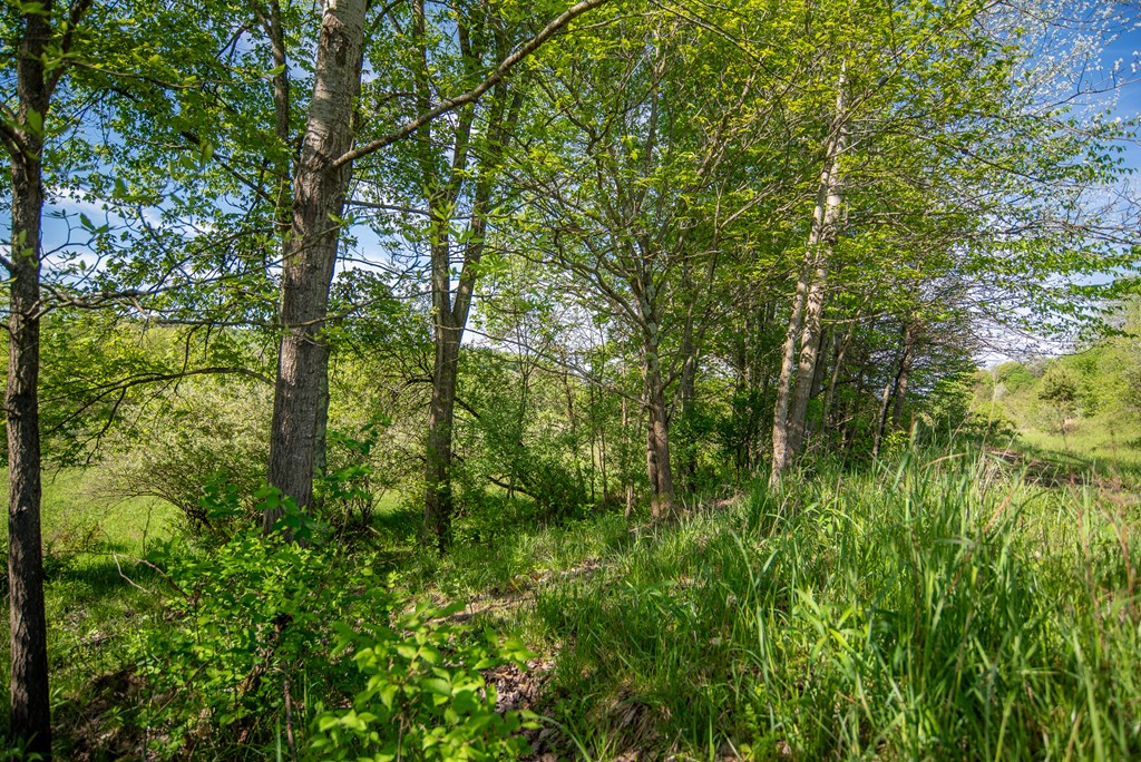 03 Stacey Rd, Parker, Pennsylvania image 3