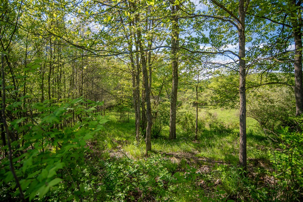03 Stacey Rd, Parker, Pennsylvania image 2
