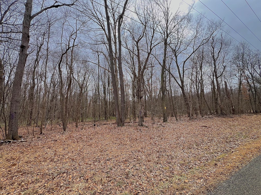 00 Congress Hill Rd Ext, Franklin, Pennsylvania image 2