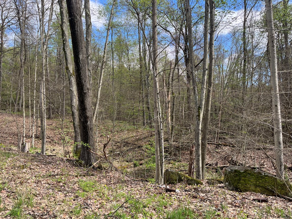 450 Ongley Hill Road, Grand Valley, Pennsylvania image 20