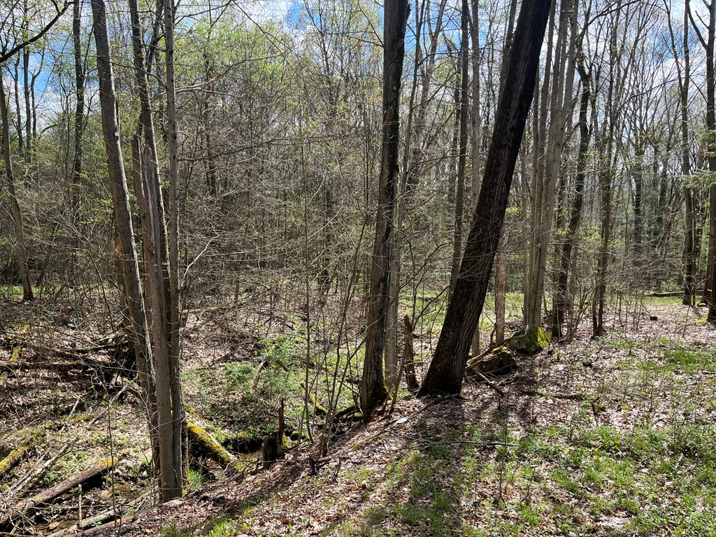 450 Ongley Hill Road, Grand Valley, Pennsylvania image 19