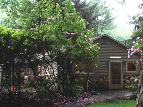 Photo for 1873 Queen Road