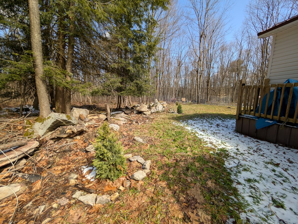 205 Bel Isle Rd, Tionesta, Pennsylvania image 7