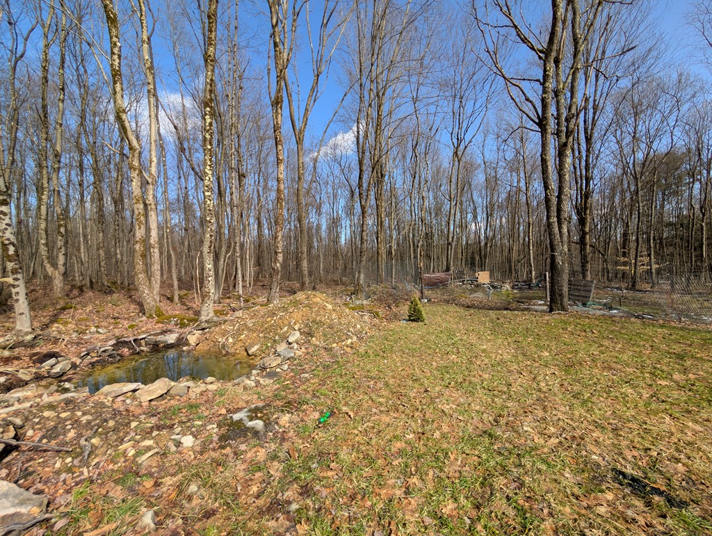 205 Bel Isle Rd, Tionesta, Pennsylvania image 8
