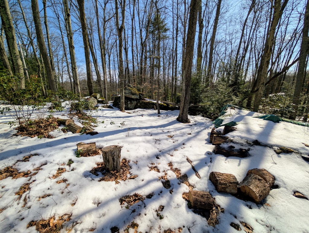 1007 Pine Run Rd, Sigel, Pennsylvania image 17