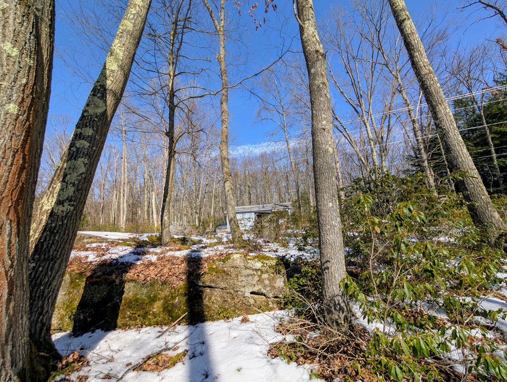 1007 Pine Run Rd, Sigel, Pennsylvania image 16