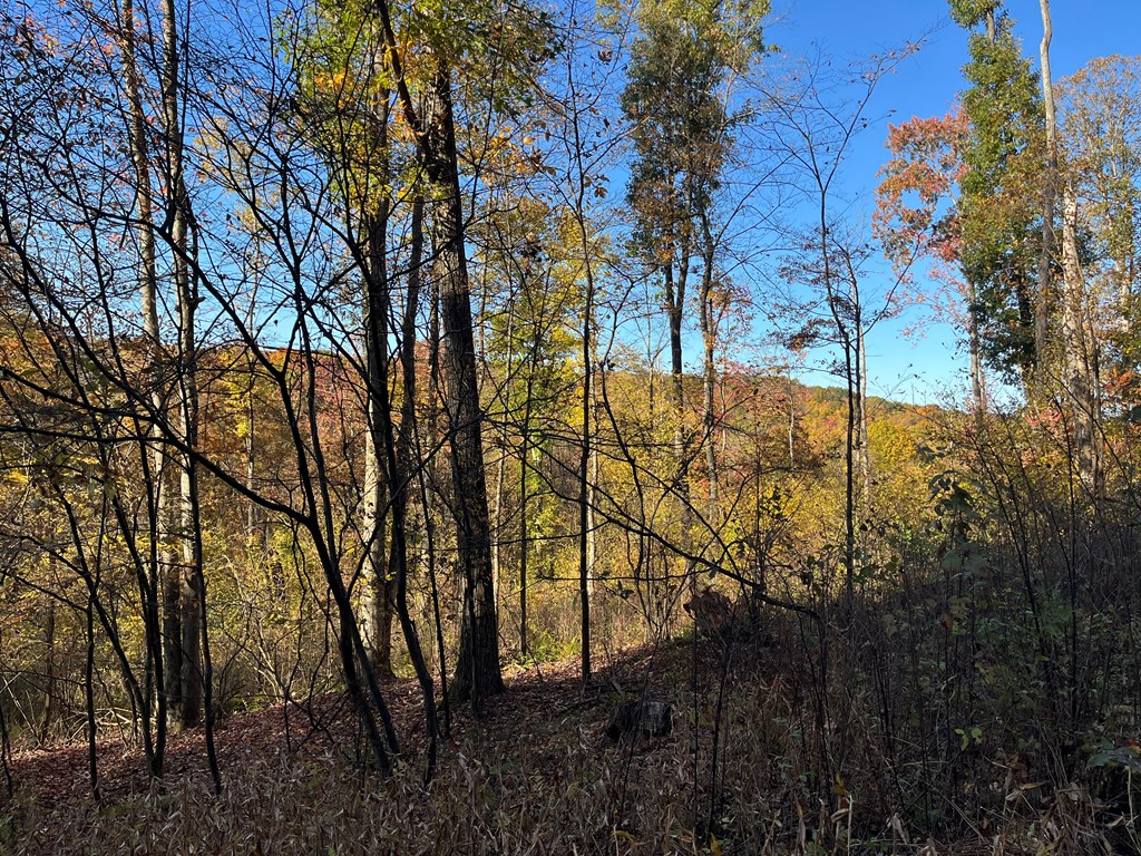 Trout Run Road, Titusville, Pennsylvania image 6