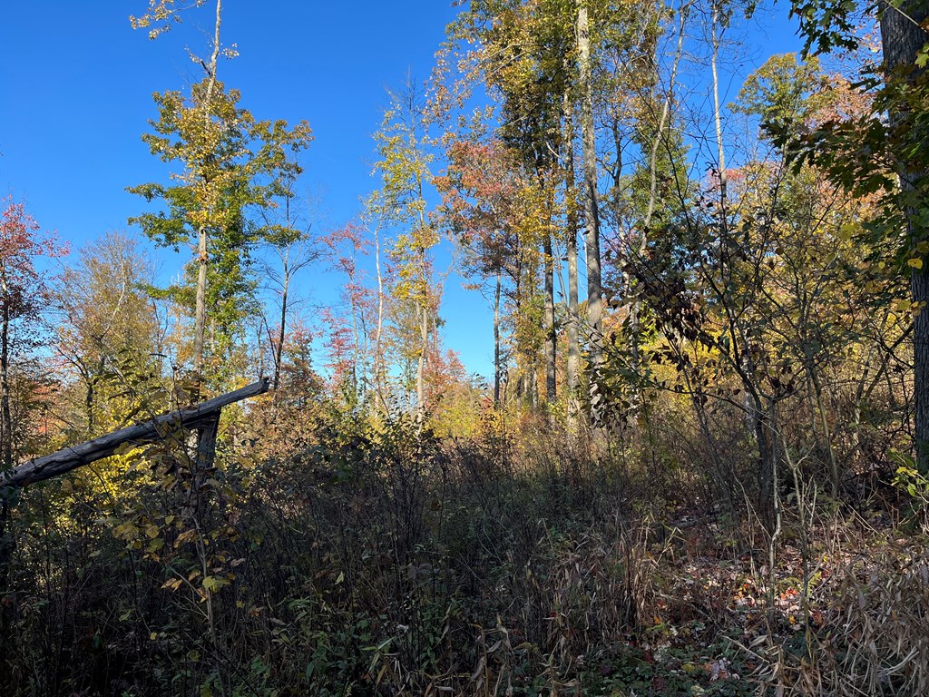 Trout Run Road, Titusville, Pennsylvania image 8