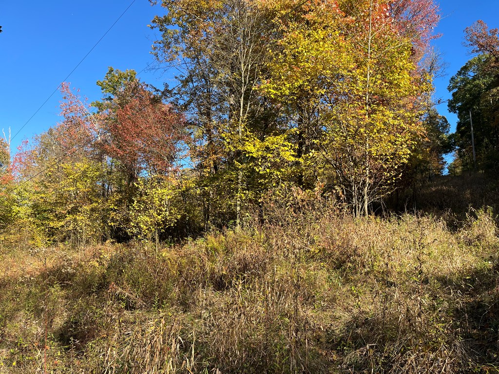 Trout Run Road, Titusville, Pennsylvania image 4