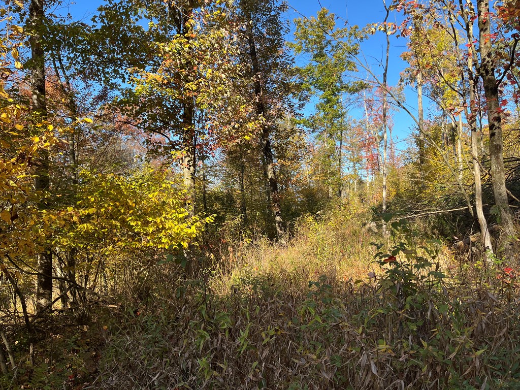 Trout Run Road, Titusville, Pennsylvania image 9