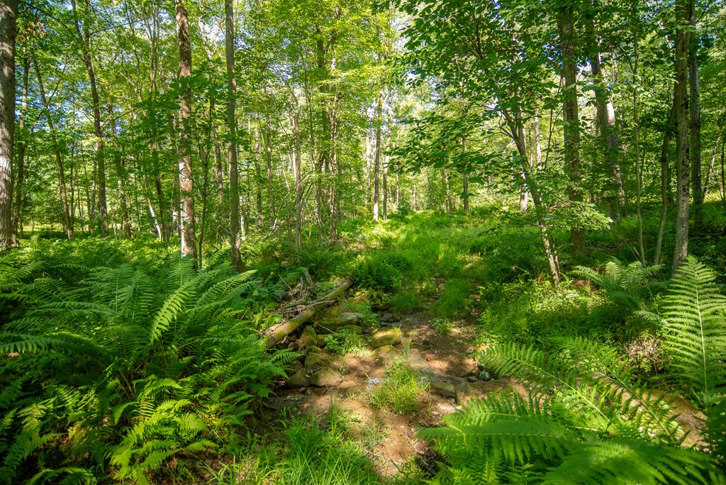 LOT #2 County Line Road, Venus, Pennsylvania image 4