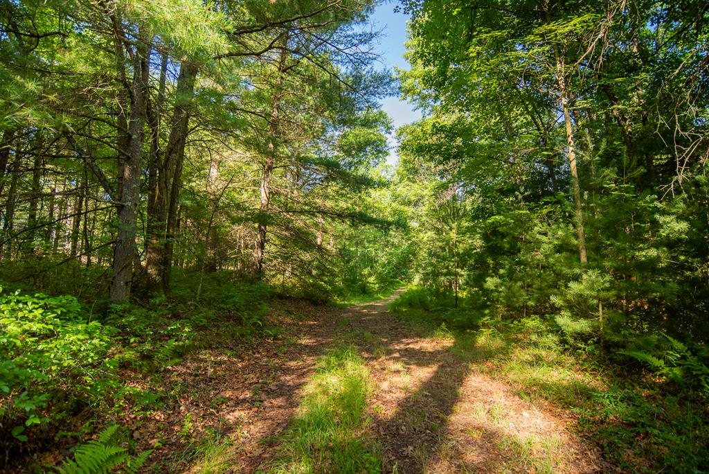 LOT #2 County Line Road, Venus, Pennsylvania image 12