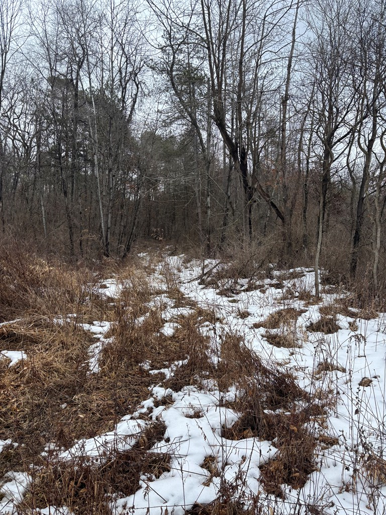 Gibson Road, Emlenton, Pennsylvania image 4