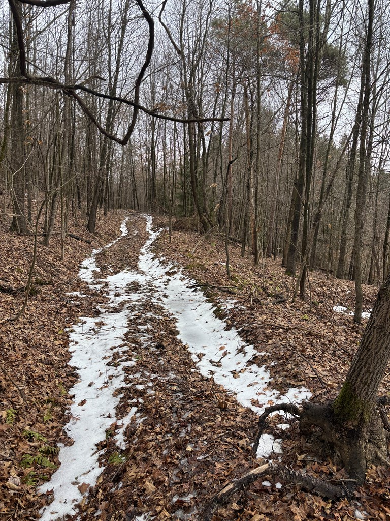 Gibson Road, Emlenton, Pennsylvania image 5