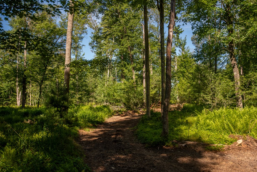 Lot 4 County Line Road, Venus, Pennsylvania image 9