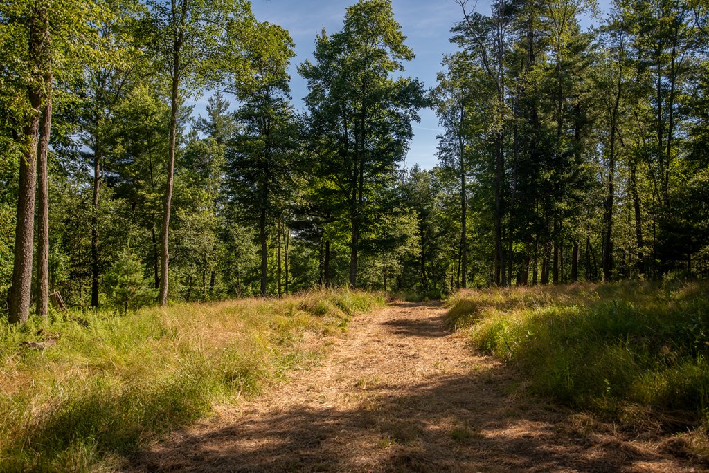 Lot 4 County Line Road, Venus, Pennsylvania image 6