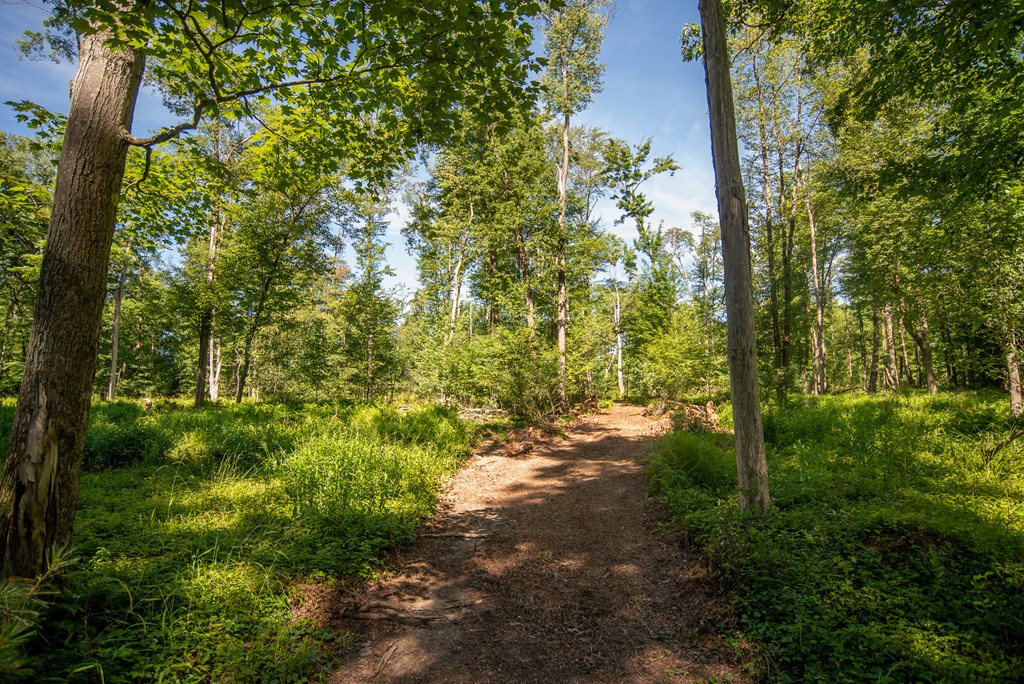 Lot 4 County Line Road, Venus, Pennsylvania image 10