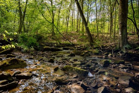 Vacant Land For Sale - 01 Stacey Rd<br/> Clarion County, Parker, PA 16049