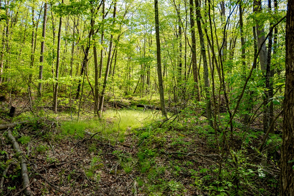 01 Stacey Rd, Parker, Pennsylvania image 6